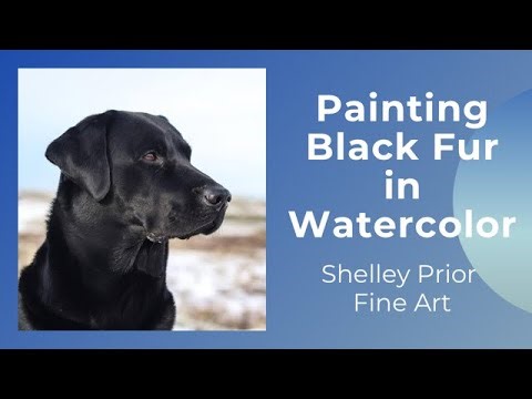 Painting Black Fur in Watercolor