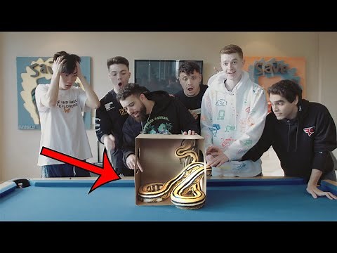 CRAZY WHAT’S IN THE BOX CHALLENGE w / FaZe Clan