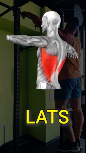 Master the standard pull-up with a pronated grip. Learn correct form, engage your back and biceps