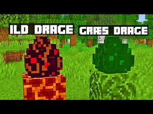 Sådan Træner Du Din DRAGE I Minecraft!