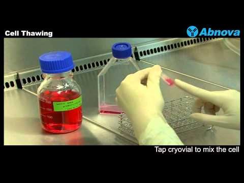 Cell Thawing
