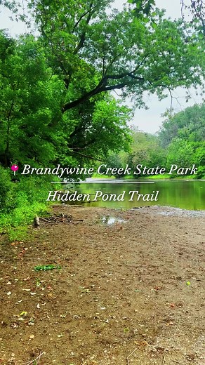 It’s Trail Tuesday! We’re highlighting must-see delaware state park trails all month long 🌿 Check out this amazing trail located in Brandywine Creek State Park. The Hidden Pond trail is a 2 mile hike through a deep forest canopy with a rewarding view of the creek. With lush greenery, crafted stone walls, and the peaceful flowing creek, the hidden pond trail is a true hidden gem 💎Check out more trails at destateparks.com/trails Comment below with a trail you’d like to see next! 🥾🌲 | Delaware