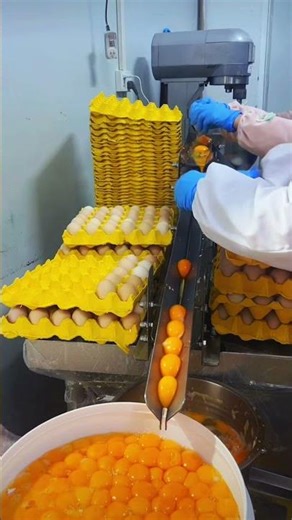 Thank you for your support we continue to show modern machines.