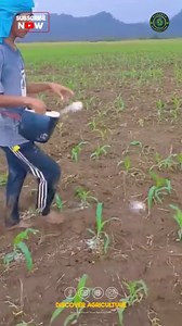 47K views · 278 reactions | At the heart of sustainable agriculture...