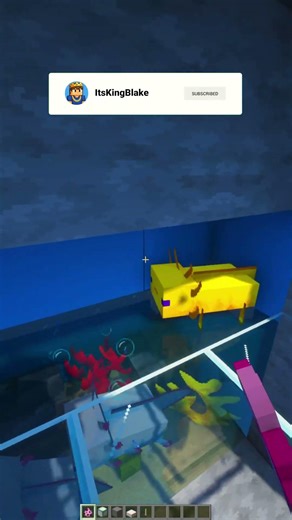 Minecraft Axolotl Aquarium🤗