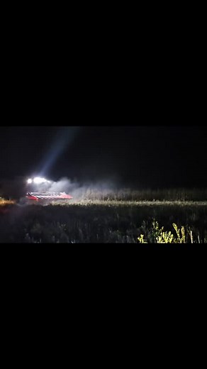 Steele Game Safaris on Reels