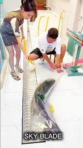 Normal skill vs master of fishing