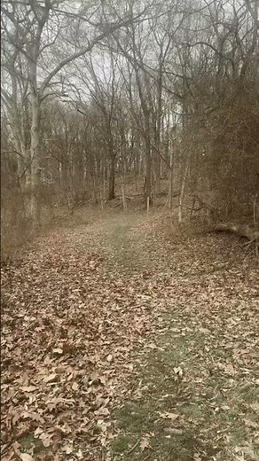 Life short go hiking #nature #music #youtubeshorts
