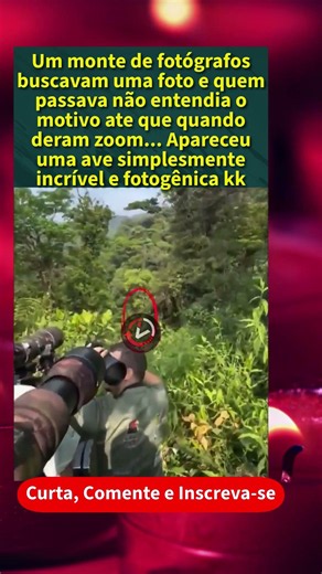 Agora dá pra entender tantas câmeras apontadas pra floresta 👀 #attvc