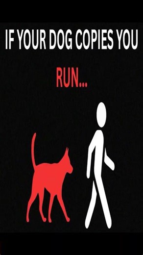 If Your Dog Starts Copying You... RUN - Analog Horror #shorts #horrorshorts #analoghorror