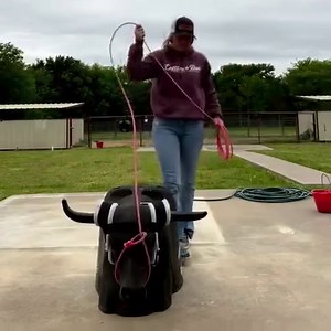 943K views · 31K reactions | Incredible and accurate roping right here! See more of Chelsey’s roping on IG❤️鸞 : IG Chelsey_trickropes | Cowboy Lifestyle Network | Facebook