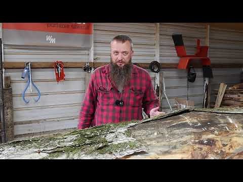 I Finally Found Some After 2 Years Of Searching, Sawmill Vlog