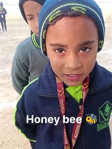 About Insects #school