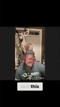 Arrow EXPLODED?! Archery Competition Gone Wrong! #shorts