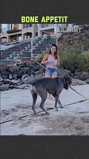 Pets can fail just like us 😭