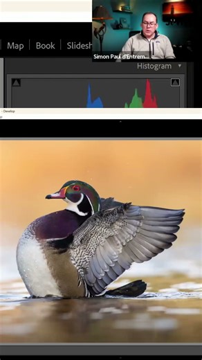 Pro Photo Editing Tips Exposure, Noise Reduction, and Sharpening!
