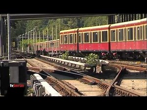 Umgestürzter Ast - wieder S-Bahnunfall in Berlin