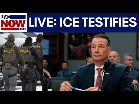 FULL: Trump's immigration chiefs testify before Congress