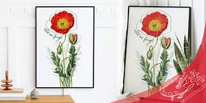 Lest We Forget Remembrance Day Poppy Poster