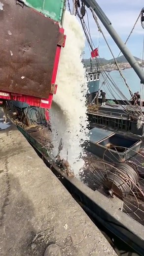 Amazing machines @Amazing Machine