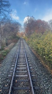 I love looking out the back of the train. #trains #fypシ゚ #fypシ゚viralシ #japan | Trains Trains Trains