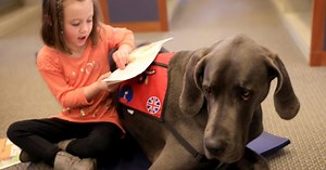 Having Dogs In School Improves SEL, Cognitive, And Even Reading Skills