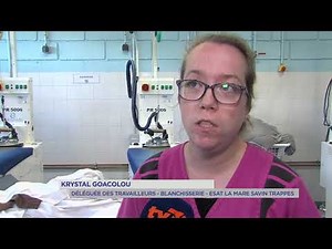 Yvelines | Trappes : 145 travailleurs handicapés tracent leur voie professionnelle