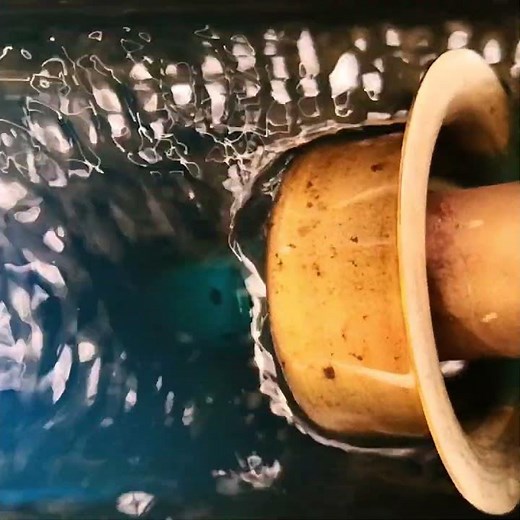 clean O2 sensor with ultrasound #shorts