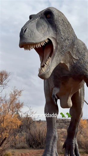 Dino Doug Crawford on Instagram: "Tyrannosaurus rex was the apex predator of its world — a 40-foot-long, 7-ton meat-eater with a skull as big as a bathtub and bite forces that could crush bone like dry twigs. It walked on two powerful legs, balanced by a heavy tail, with jaws built for breaking skeletons, not just slicing meat. For all its savage strength, it also had surprising intelligence for a dinosaur, keen senses, and forward-facing eyes that gave it depth perception like a hawk. When T. r