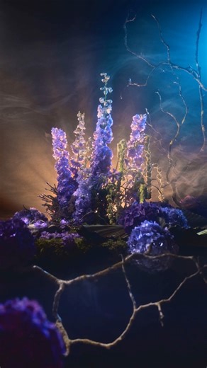 244K views · 5.4K reactions | Delphiniums deserve dramatic lighting Video lighting process with 6 lights!Gear used: amaran Pano 120c, amaran Ace 25c, x2 amaran 150c, x2 amaran 300c, amaran Spotlight SE, amaran 60x #tutorial #setup #amaran | amaran | Facebook