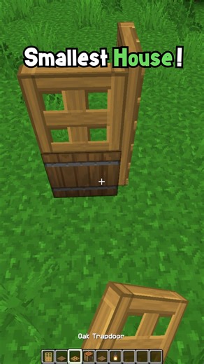 Taturr on Instagram: "Minecraft Smallest House (CONFESS YOUR LOVE FUNK) #minecraft #reels"