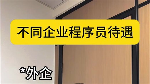 不同企业程序员的待遇