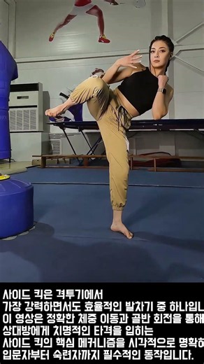 격투기 필수 기술 사이드 킥 완벽 가이드 #fighter #technique #martialarts #sidekick #kickboxing
