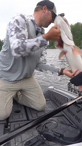 6.1K views · 66 reactions | Lake of the woods is a special place to musky fish! Tonight at 7pm cst you’ll be able to see part 1 of our adventure with Doug Wegner Fishing at Spruce Island Camp on LOTW this past summer ...#musky #muskyfishing #muskie #muskiefishing #baitshop #tackleshop | Thorne Bros. | Facebook