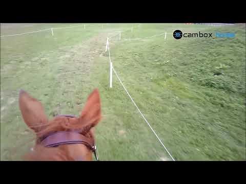 Cambox Isi3 - Thibault Fournier - Vidéo Embarquée Cross - 4 étoiles de Pau - Equitation
