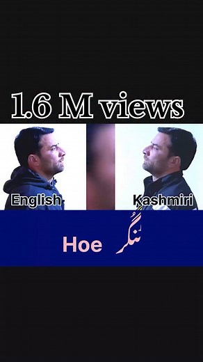 11K views · 4.8K reactions | Farm Tools: Kashmiri vs English 摒 望 #ruhsir #educationforall #kashmiri #education #kashmir #english #students #nature #farming | Riyaz Ul Hassan | Facebook