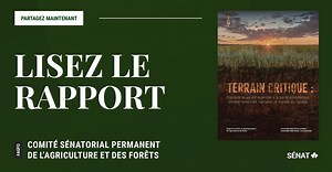 New Senate report - Canadian soil health at risk | Nouveau rapport du Sénat - la santé des sols canadiens en péril Climate change, extreme weather events, pollution and urbanization are damaging Canadian soil, and are threatening food security, the environment and millions of livelihoods, the Senate Committee on Agriculture and Forestry said in a report released today. Critical Ground: Why Soil is Essential to Canada’s Economic, Environmental, Human, and Social Health digs deep into the critical