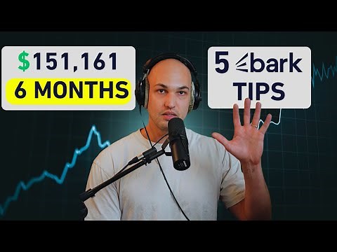 How to get Clients on bark.com in 2025 - 5 Tips for $151k in 6 Months