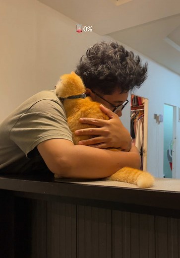 Recharge energy with cat: 0% → 100% hug