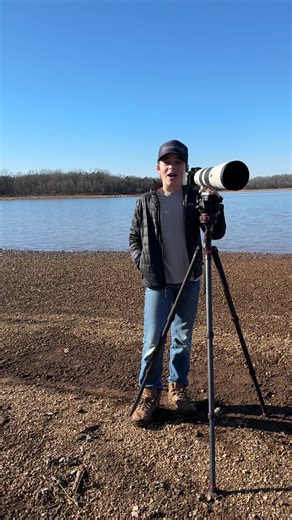 Happy New Year! First bird of the year- Mockingbird! What about you? @Merlin Bird ID app @Audubon Society @American Birding Association