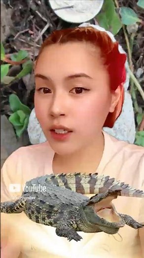 You Won’t Believe What Alligator Poop Looks Like Seriously, It’s Wild