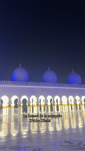 Cette mosquée est juste incroyable 🫶🏻 #dubai #fyp #fypage #dxb #dubaitiktok