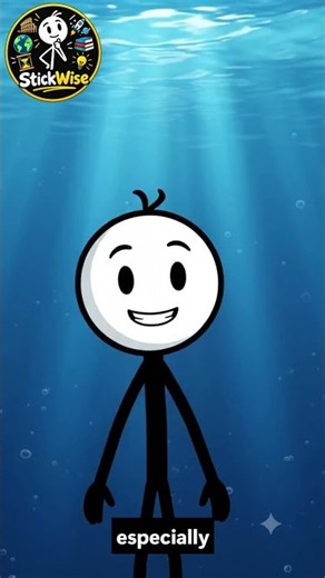 If Water Is Clear, Why Is the Ocean Blue? 🌊🤔