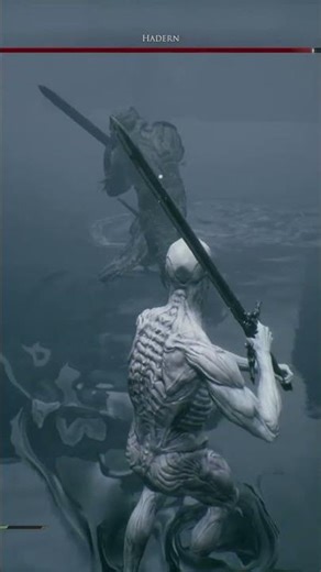 The Battle Continues #gaming #zdrt #soulslike #mortalshell