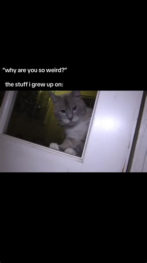 Nostalgic Memories of Talking Kitty Cat Days