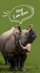 1.8K views · 83 reactions | Assam, where every leaf rustles with...