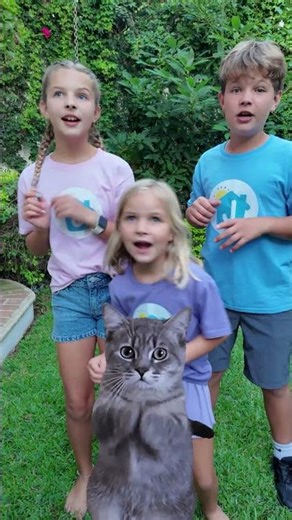 #oldmcdonald #kidssong