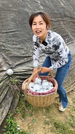 Happy to harvest delicious cucumber | Amazing fruits farming by rural farmer #fruit #farming