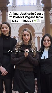 2.3K views · 176 reactions | ️ BREAKING: Animal Justice lawyers just intervened in court in a monumental vegan human rights case, arguing why ethical veganism should be protected under the Ontario Human Rights Code ⚖️ | Animal Justice | Facebook