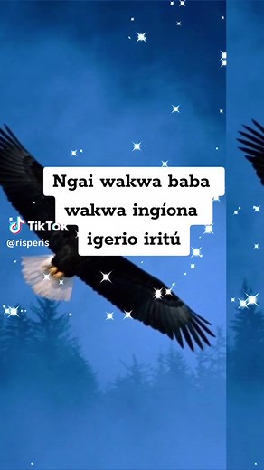 Sammy Nene Kikuyu Gospel Song: Ngai Wakwa Lyrics Video